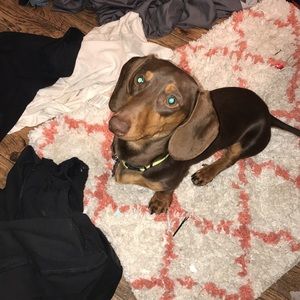 Meet your Posher, Teal